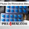 Pilules De Rhinocéros Bleu viagra2